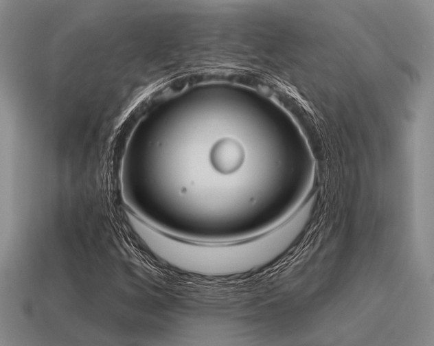 X0000115611256200911101420