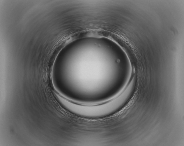 X0000115611257200911101420
