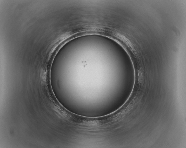 X0000115611260200911101420