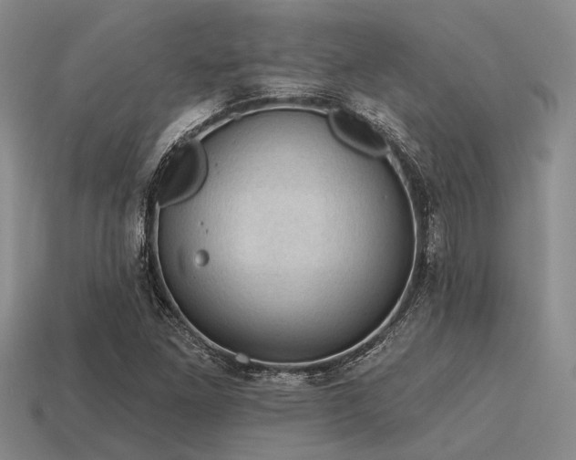 X0000115611261200911101420