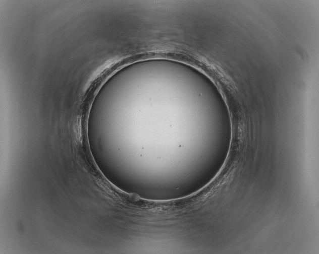 X0000115611262200911101419