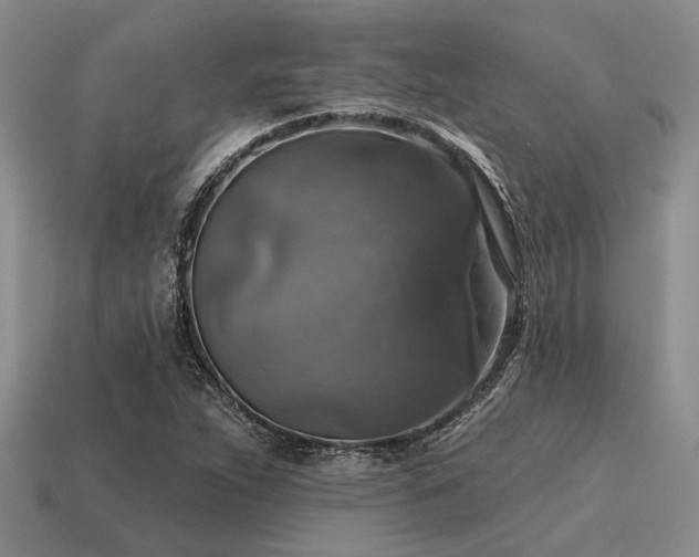 X0000115611263200911101419