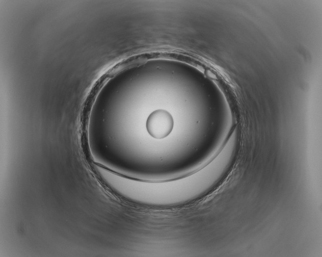 X0000115611264200911101419
