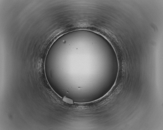 X0000115611265200911101419