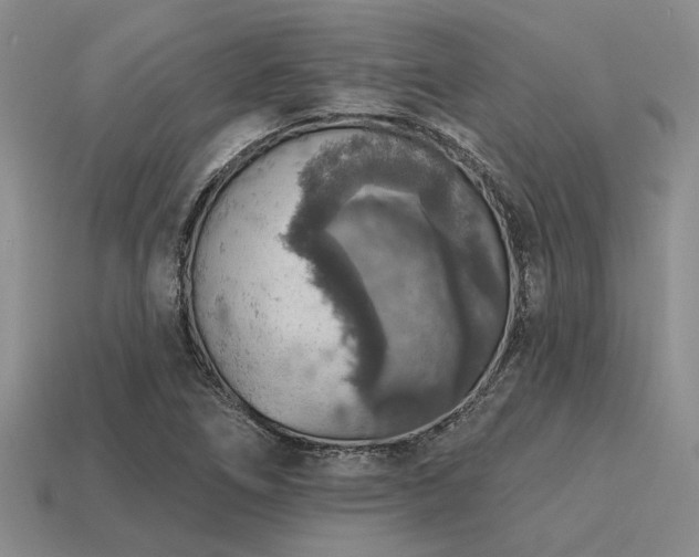 X0000115611266200911101419