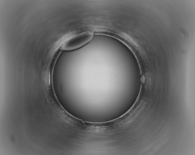 X0000115611269200911101419