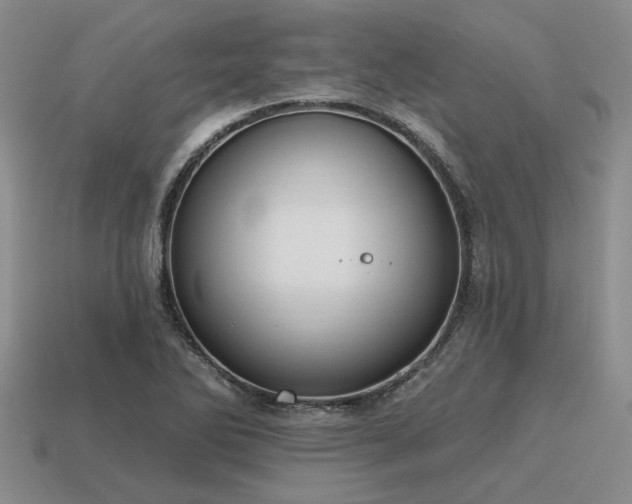 X0000115611270200911101419