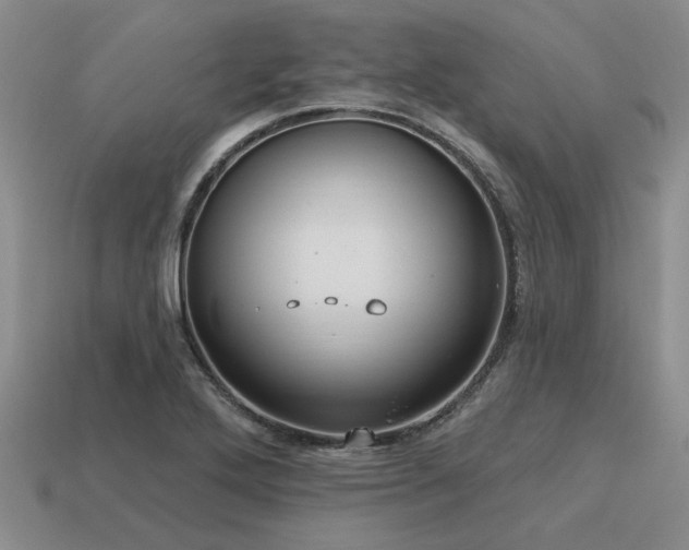 X0000115611272200911101419