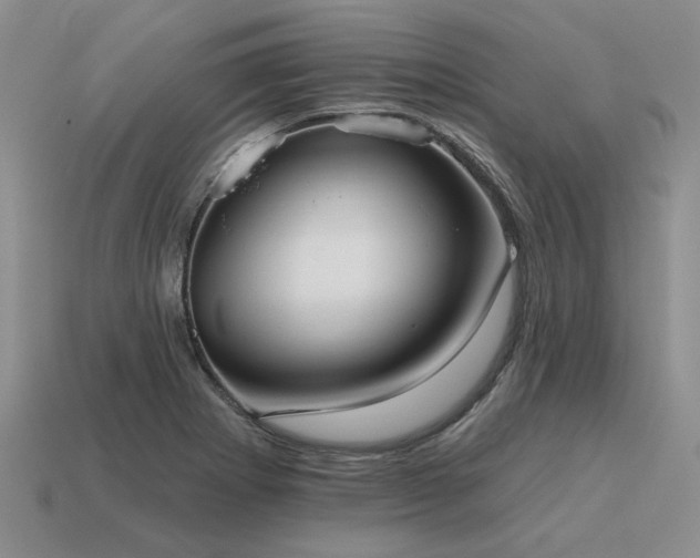 X0000115611273200911101419