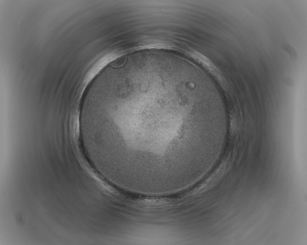 X0000115611274200911101419