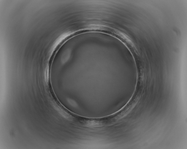 X0000115611275200911101419