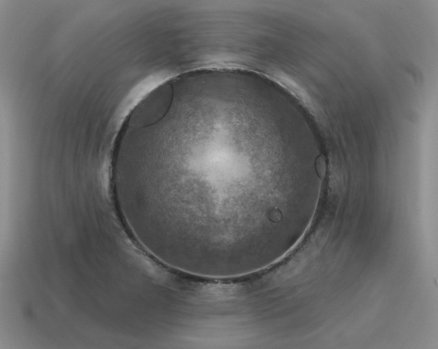 X0000115611277200911101419