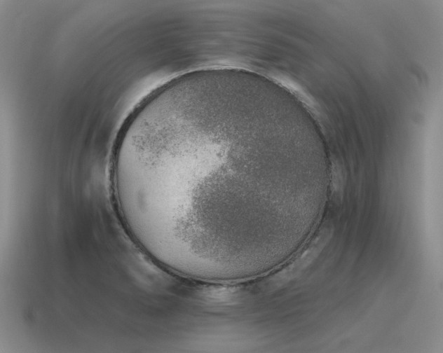 X0000115611278200911101419