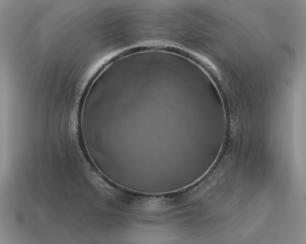 X0000115611279200911101419