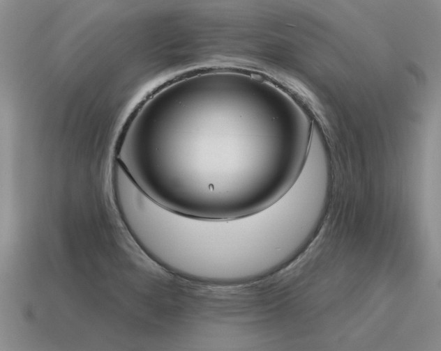 X0000115611280200911101419