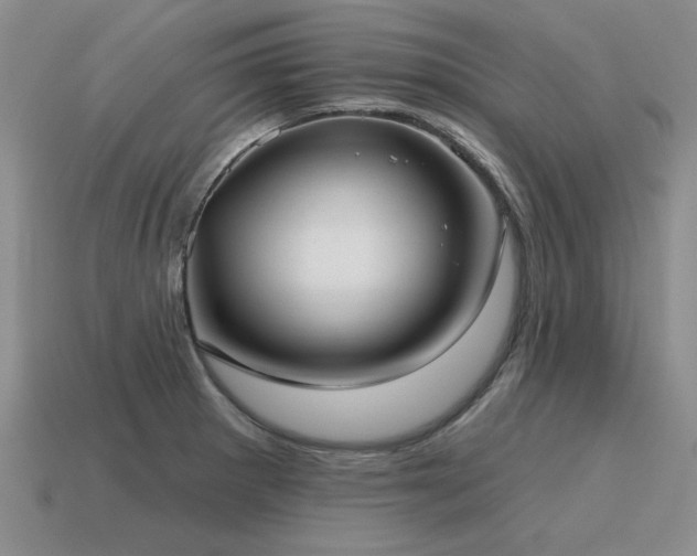 X0000115611281200911101419