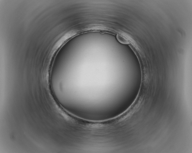 X0000115611282200911101419