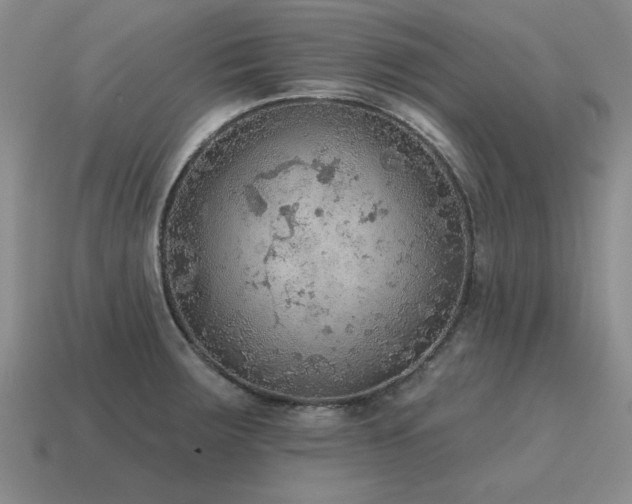 X0000115611283200911101419