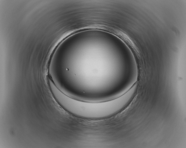 X0000115611284200911101419