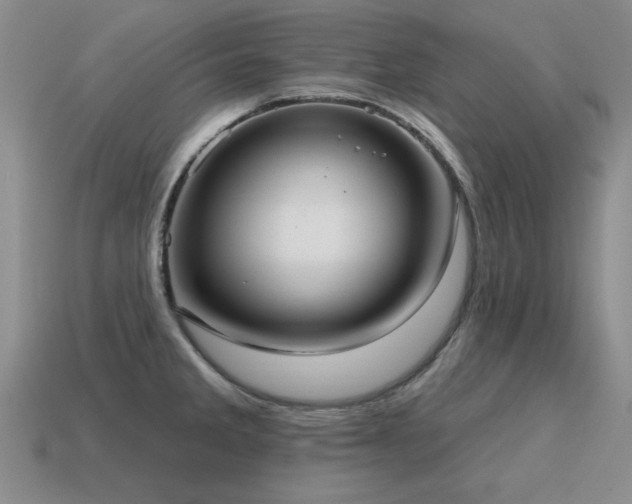 X0000115611285200911101419