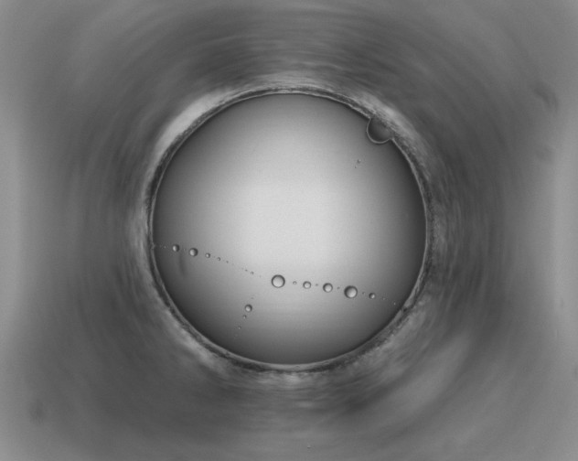 X0000115611286200911101419