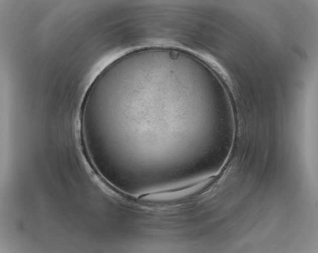 X0000115611287200911101419
