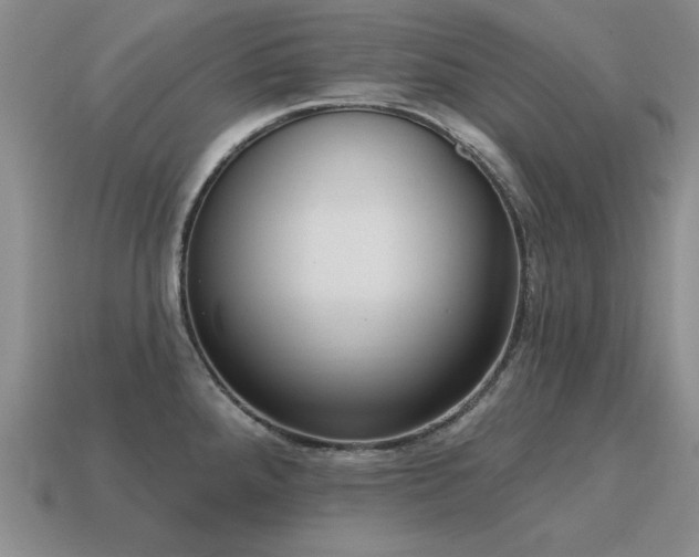 X0000115611288200911101419