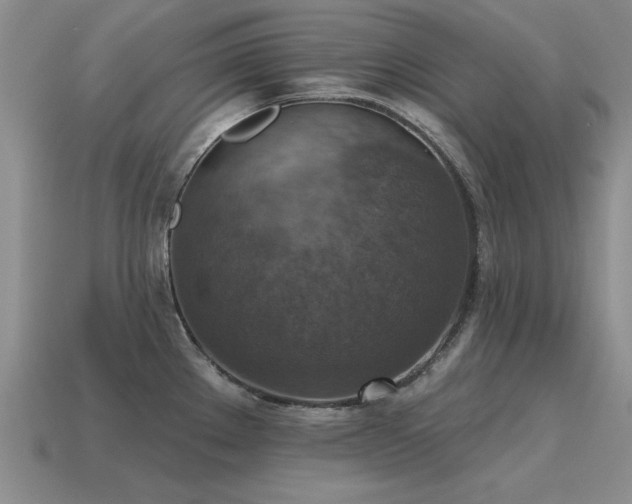 X0000115611289200911101419
