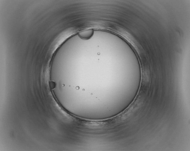 X0000115611290200911101419