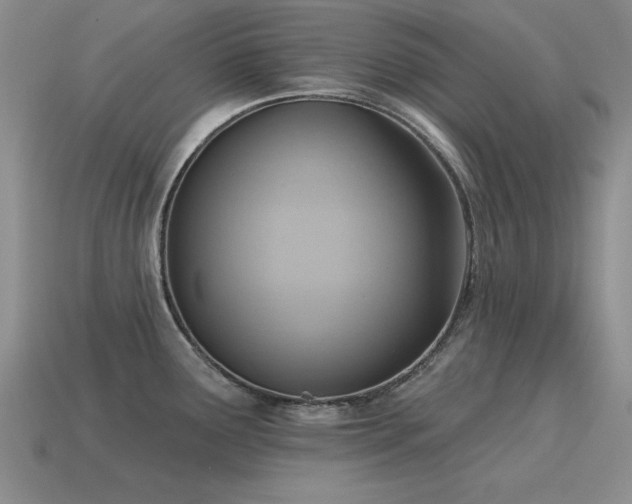 X0000115611291200911101419