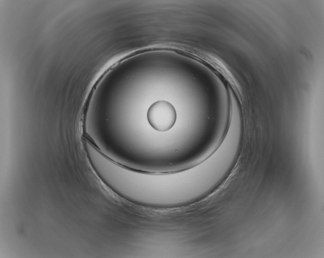 X0000115611292200911101419