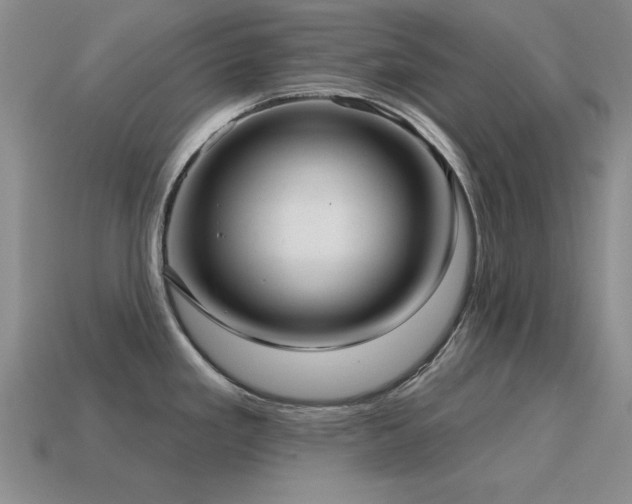 X0000115611293200911101419