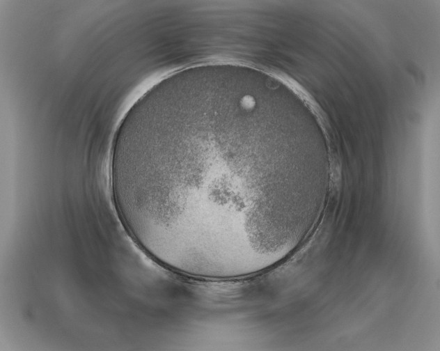 X0000115611294200911101419