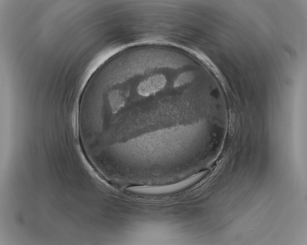 X0000115611295200911101419