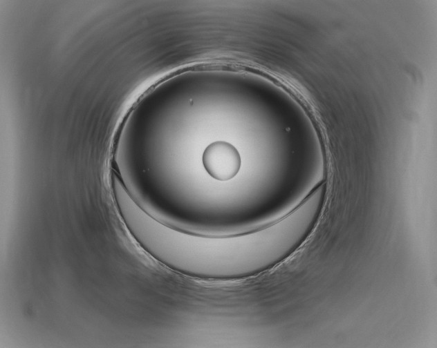 X0000115611296200911101419