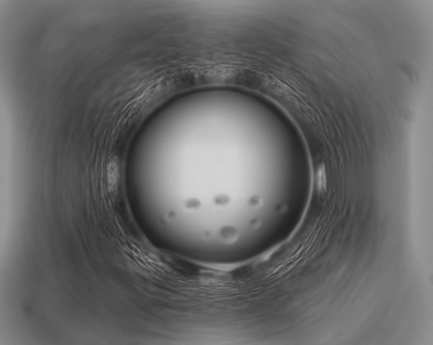 X0000115611299200911101418