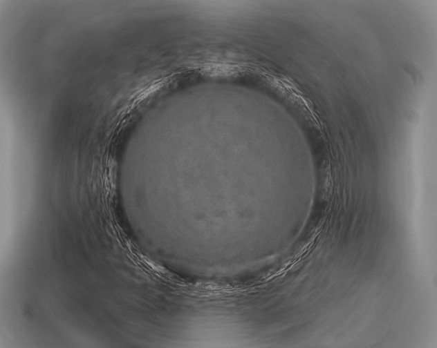 X0000115611301200911101418