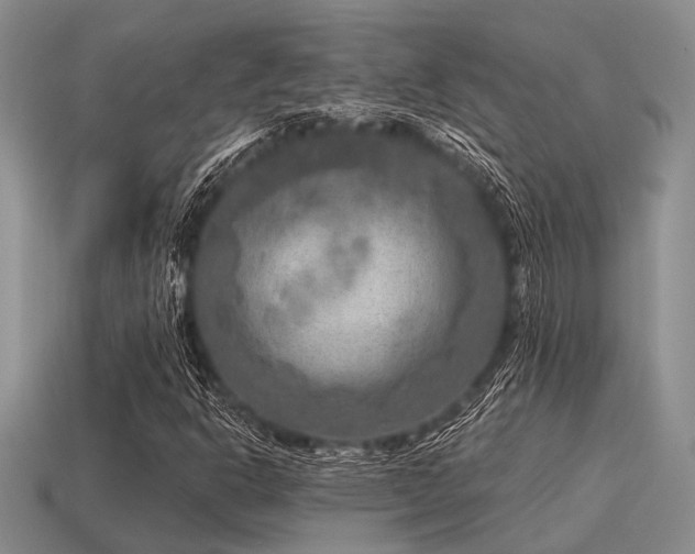 X0000115611302200911101418