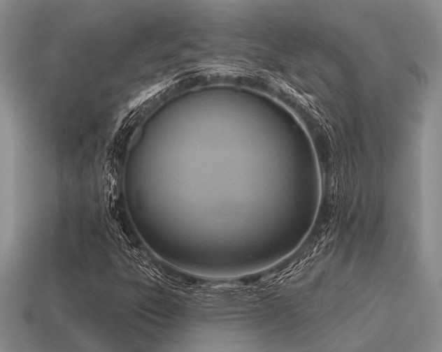X0000115611303200911101418