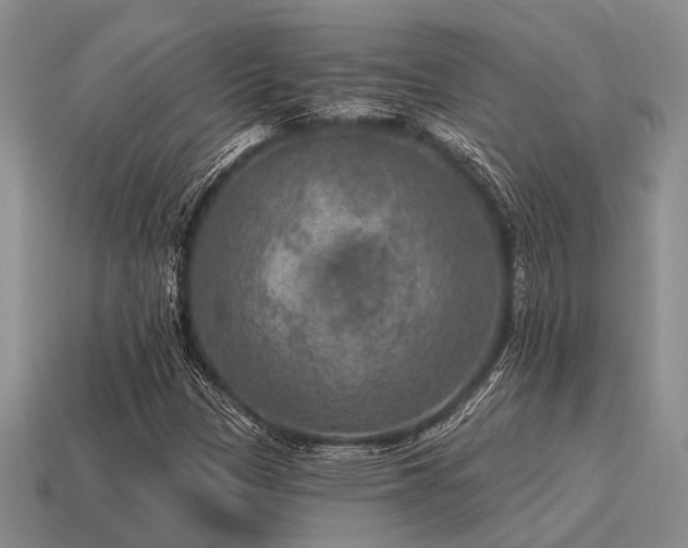 X0000115611305200911101418