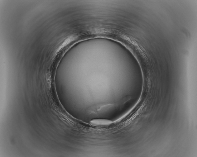 X0000115611306200911101418