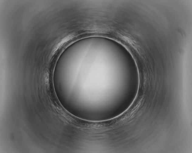 X0000115611307200911101418