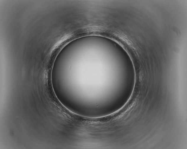 X0000115611309200911101418