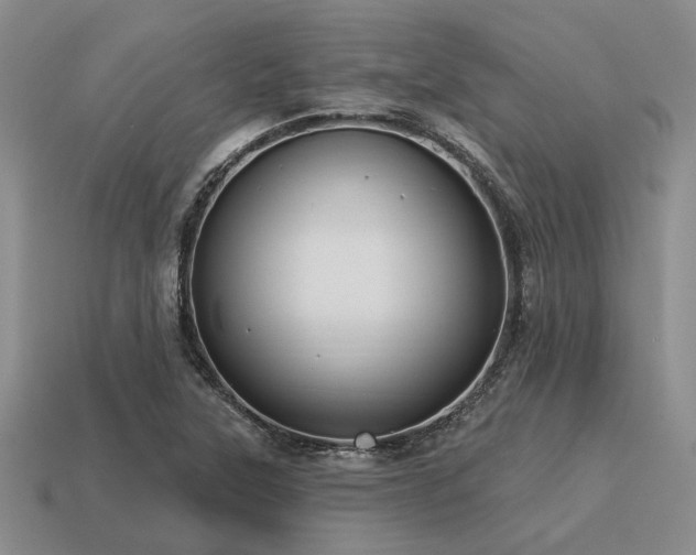 X0000115611315200911101419