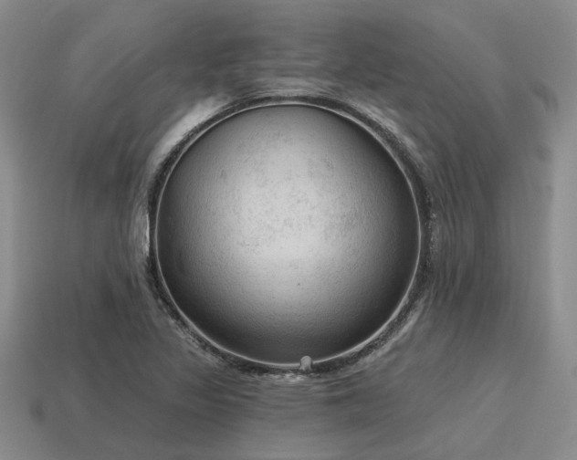 X0000115611317200911101419