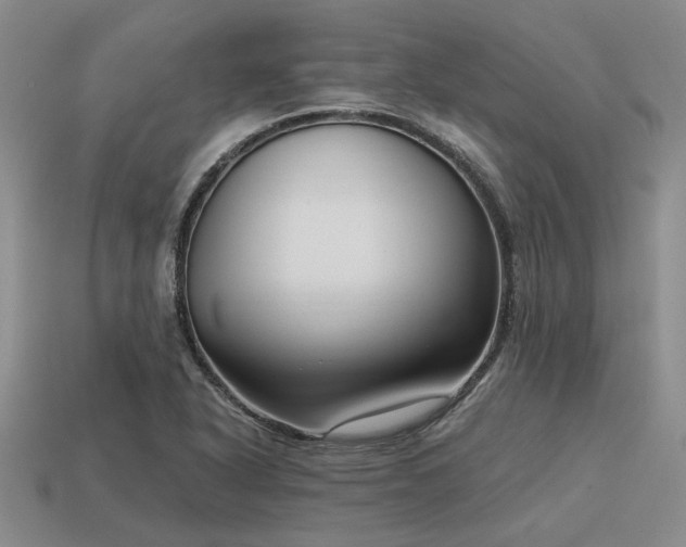 X0000115611318200911101419