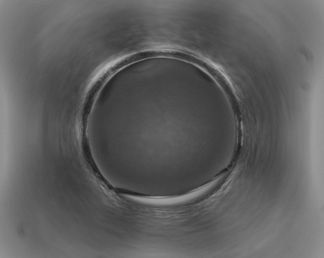 X0000115611319200911101419
