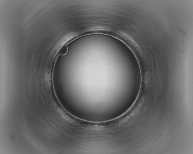 X0000115611321200911101419