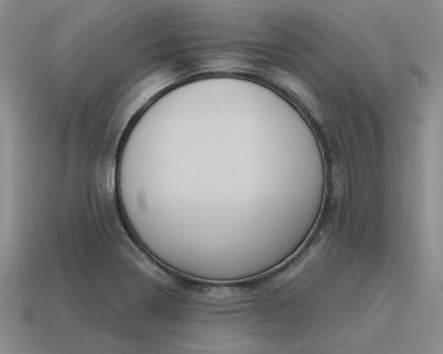 X0000115611322200911101419