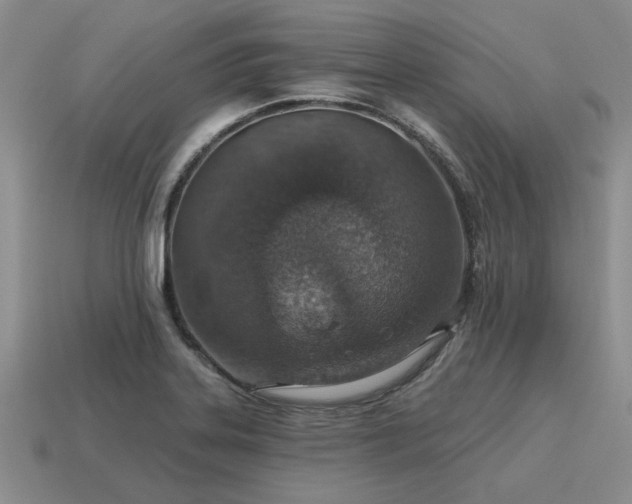 X0000115611323200911101419